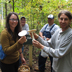 Comparing Amanitas